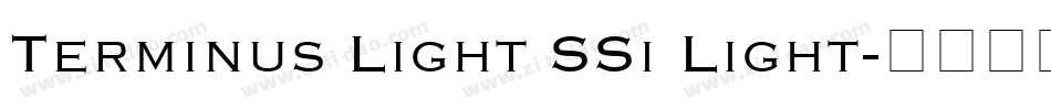 Terminus Light SSi Light字体转换